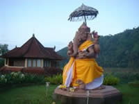 Yoga Teacher Training in Bali