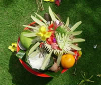 Yoga Teacher Training in Bali