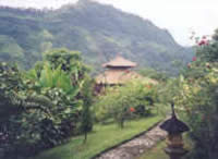 Yoga Teacher Training in Bali