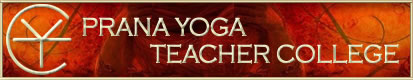 Yoga Alliance Certified Yoga Teacher Training School