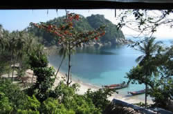 Yoga Teacher Training in Thailand