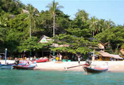 Hatha Yoga Teacher Training in Thailand